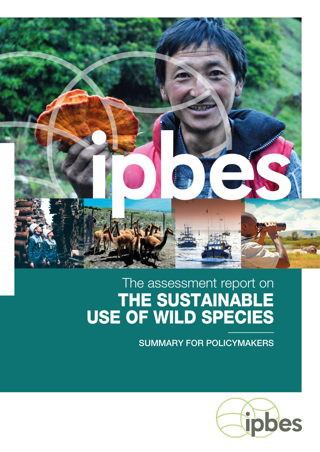 game-and-wildlife-conservation-hunting-key-for-nature-conservation-ipbes-assessment-report-on