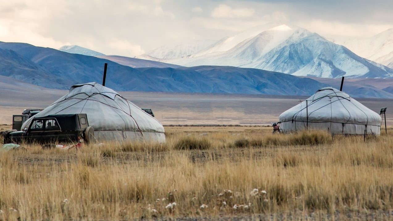 Game and Wildlife Conservation | Flying Vets Mongolia - Game and ...