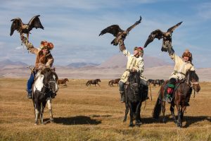 A group of traditional kazakh eagle hunters holding their golden eagles on horseback with a heard of horses running in the background. Ulgii, Mongolia.