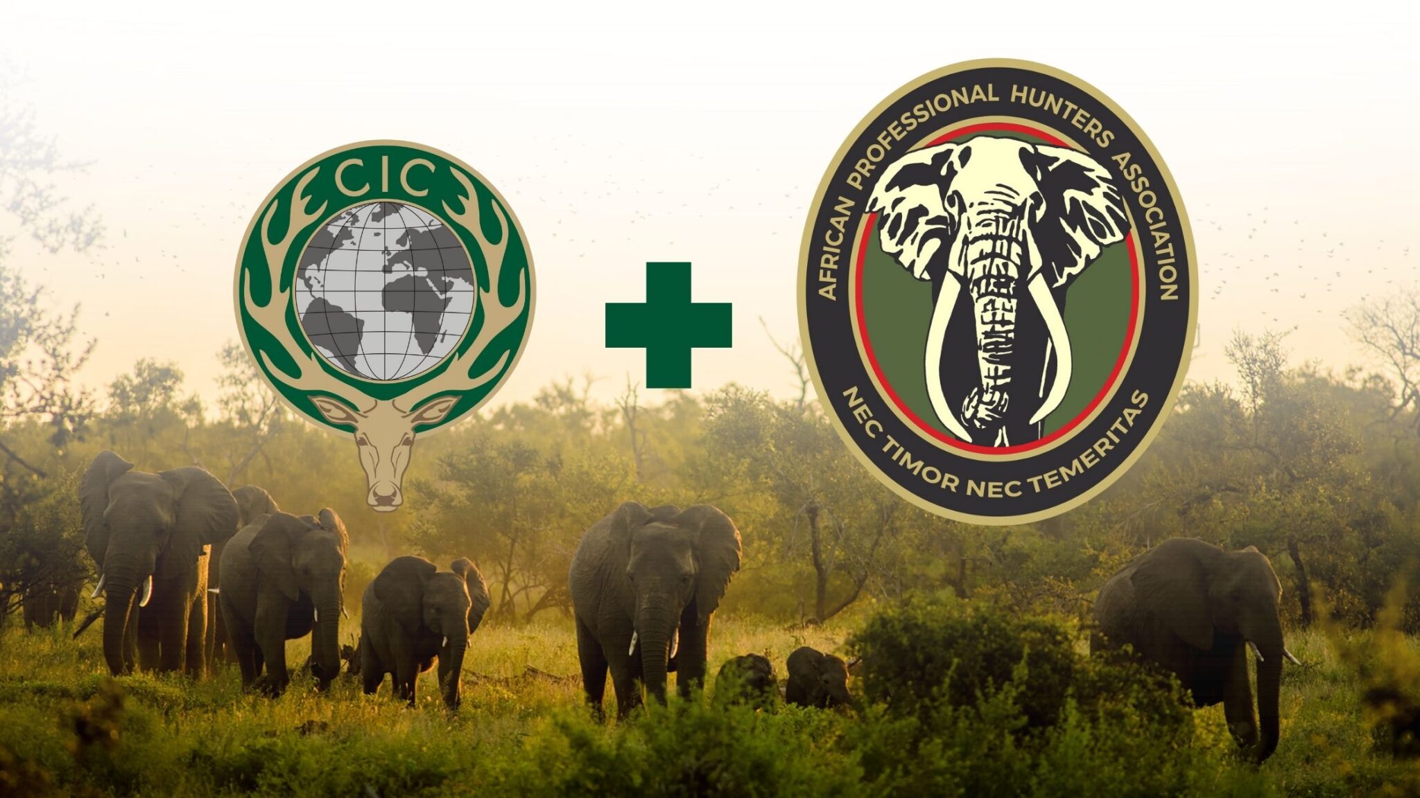 CIC Welcomes the African Professional Hunters Association (APHA) as a ...